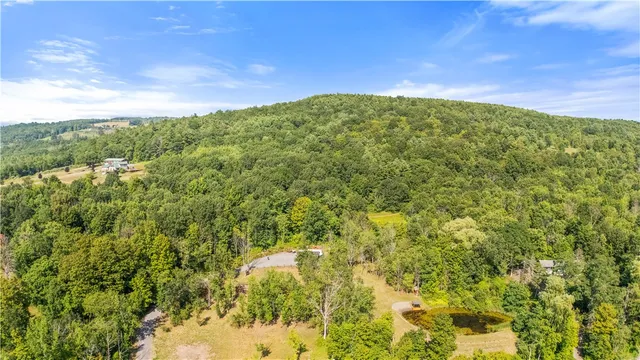 $105,000 | L55 Arnold Road, Preston Hollow, NY 12469