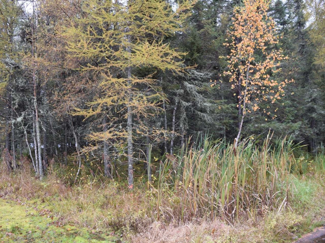 On On Lake Road Tomahawk, WI 54487 - Photo 20 of 23 Gallery Image 20