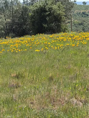 $900,000 | 0 Round Valley Ranch Road, Paradise, CA 95969