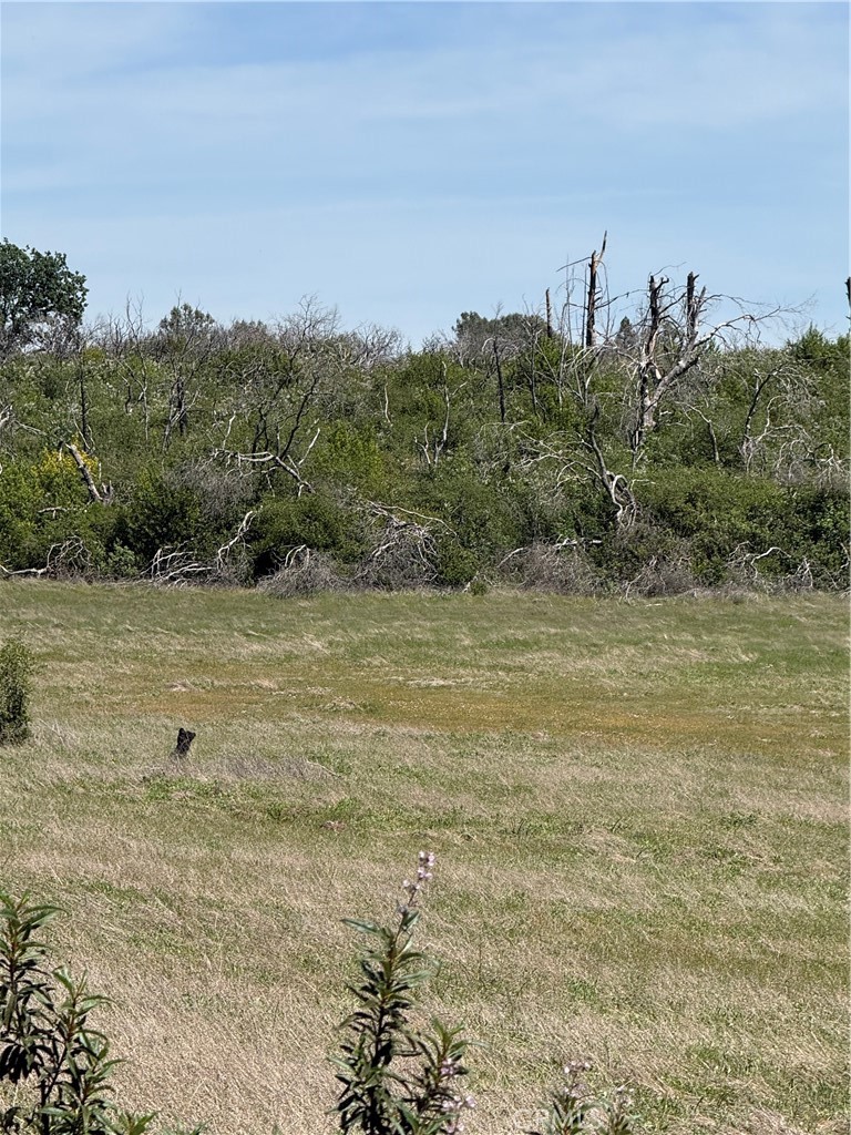 0 Round Valley Ranch Road Paradise, CA 95969 - Photo 17 of 33