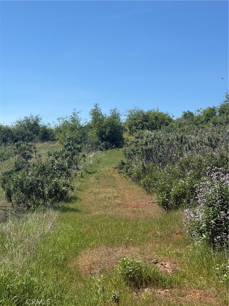 0 Round Valley Ranch Road Paradise, CA 95969 - Photo 23 of 33