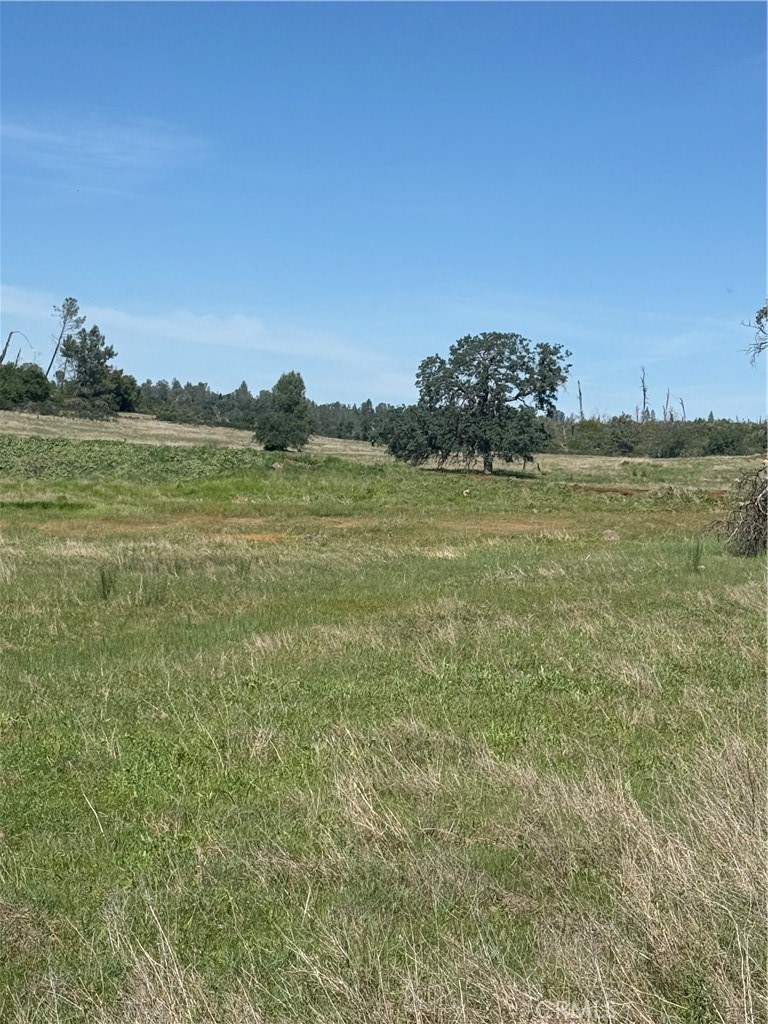 0 Round Valley Ranch Road Paradise, CA 95969 - Photo 28 of 33
