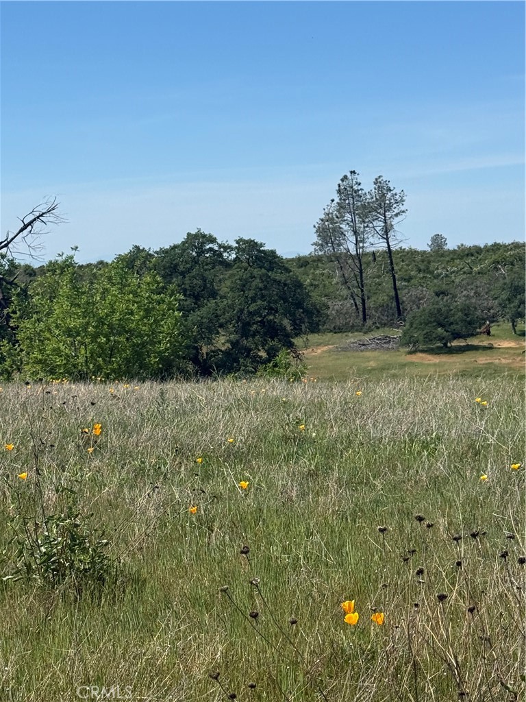 0 Round Valley Ranch Road Paradise, CA 95969 - Photo 31 of 33