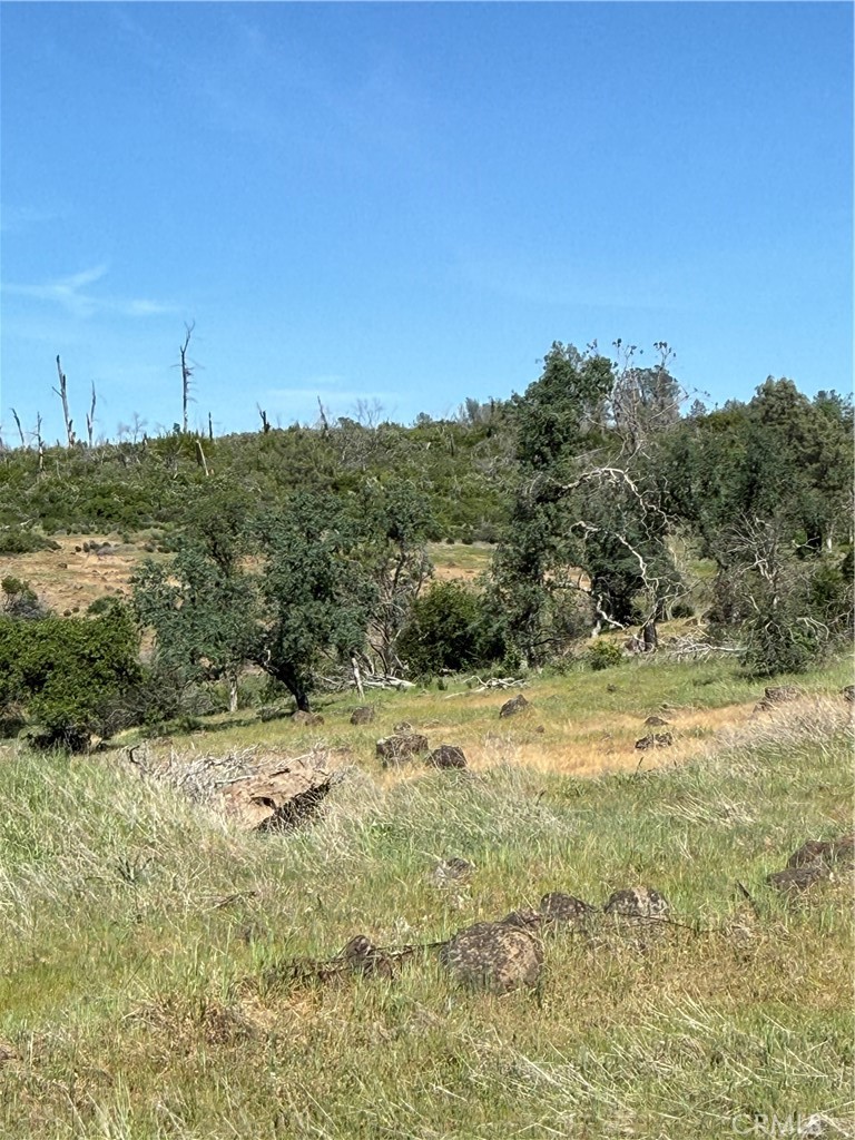 0 Round Valley Ranch Road Paradise, CA 95969 - Photo 5 of 33