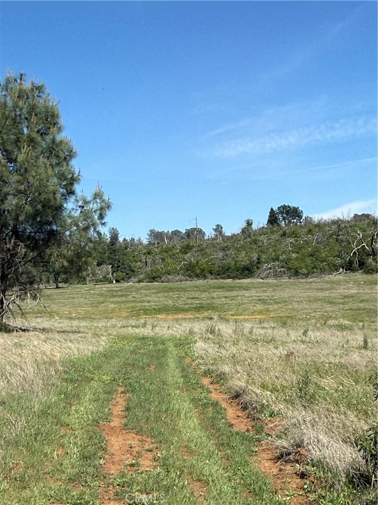 0 Round Valley Ranch Road Paradise, CA 95969 - Photo 8 of 33