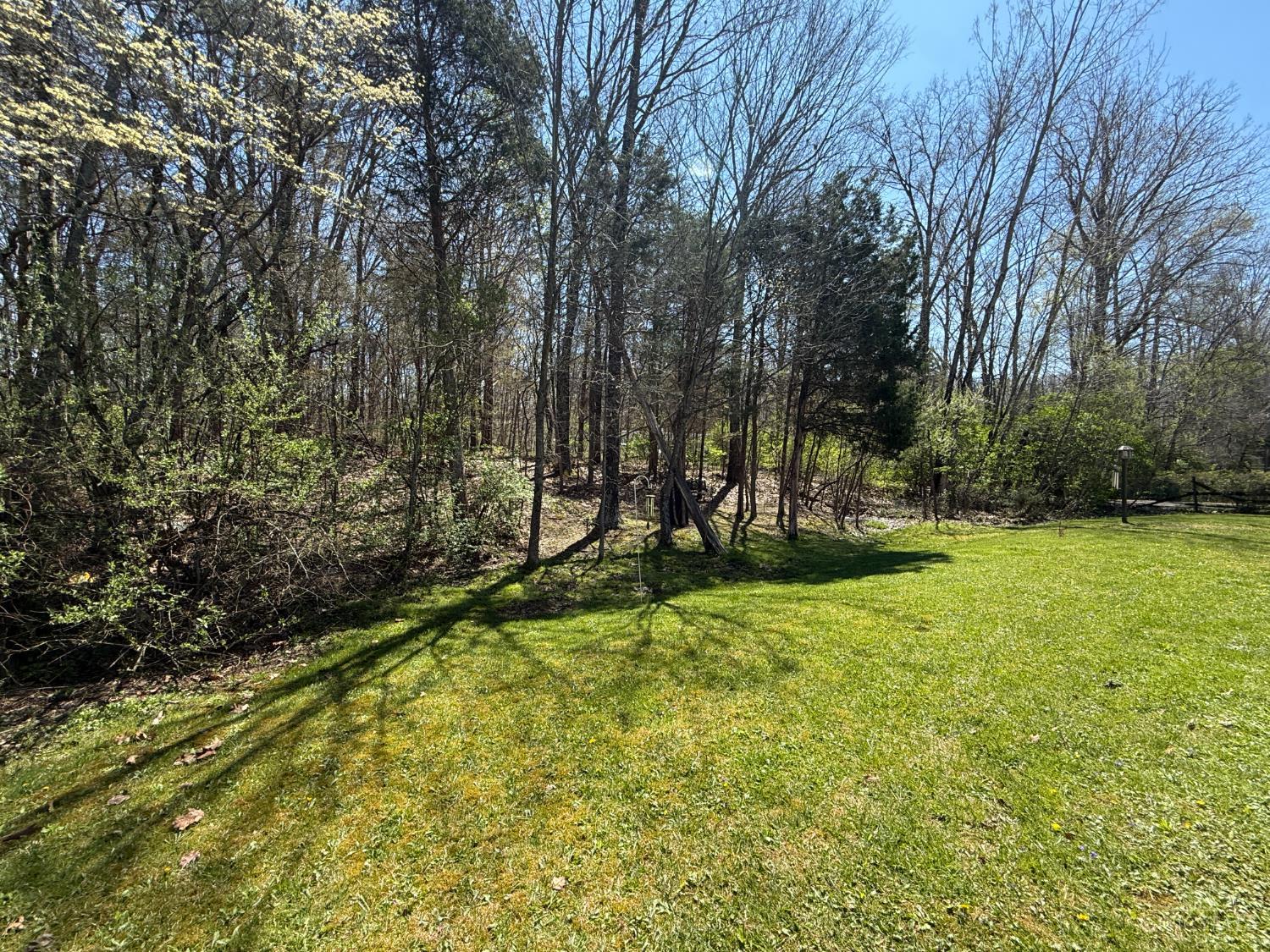 4145 West Fork Ridge Drive Batavia, OH 45103 - Photo 4 of 24