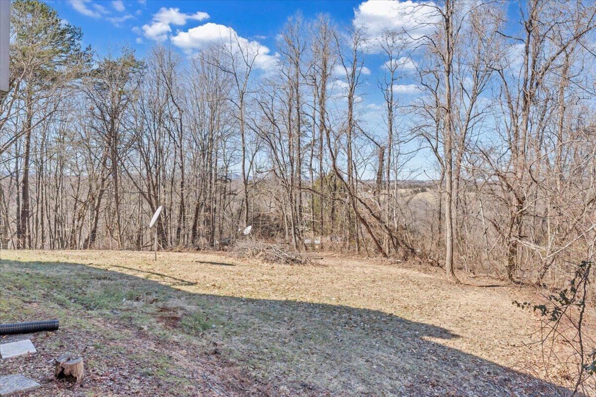 432 Arch Mill Road Buchanan, VA 24066 - Photo 60 of 72 61-MIB07858