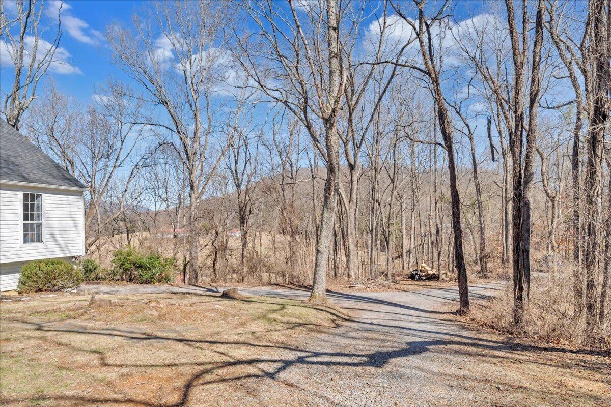 432 Arch Mill Road Buchanan, VA 24066 - Photo 64 of 72 a view of city with trees