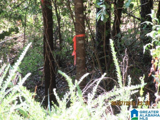 550 Davis Acres Drive, Unit 15 Alpine, AL 35014 - Photo 48 of 48
