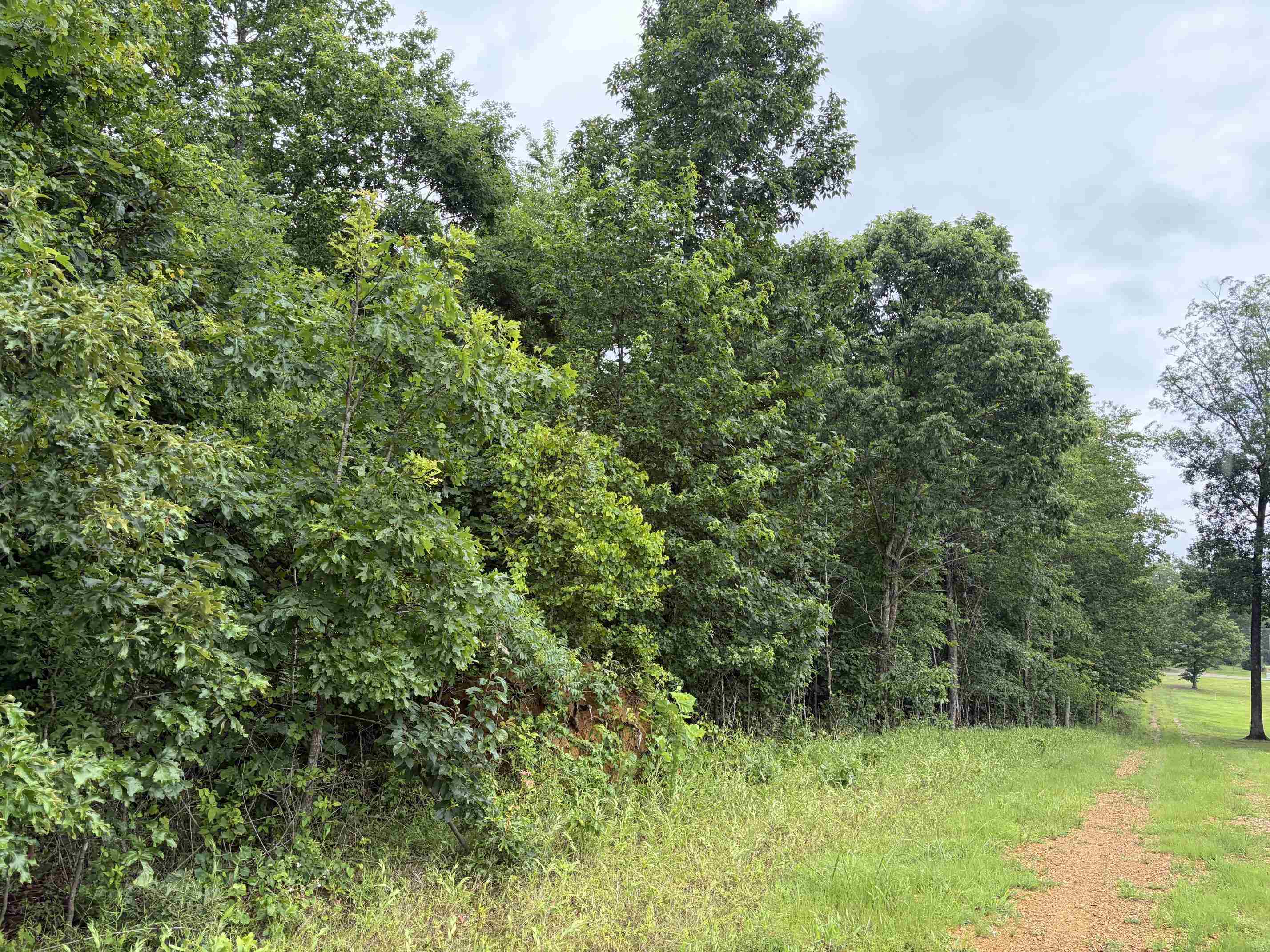 745 Foster Road Adamsville, TN 38310 - Photo 22 of 25 Gallery Image 22