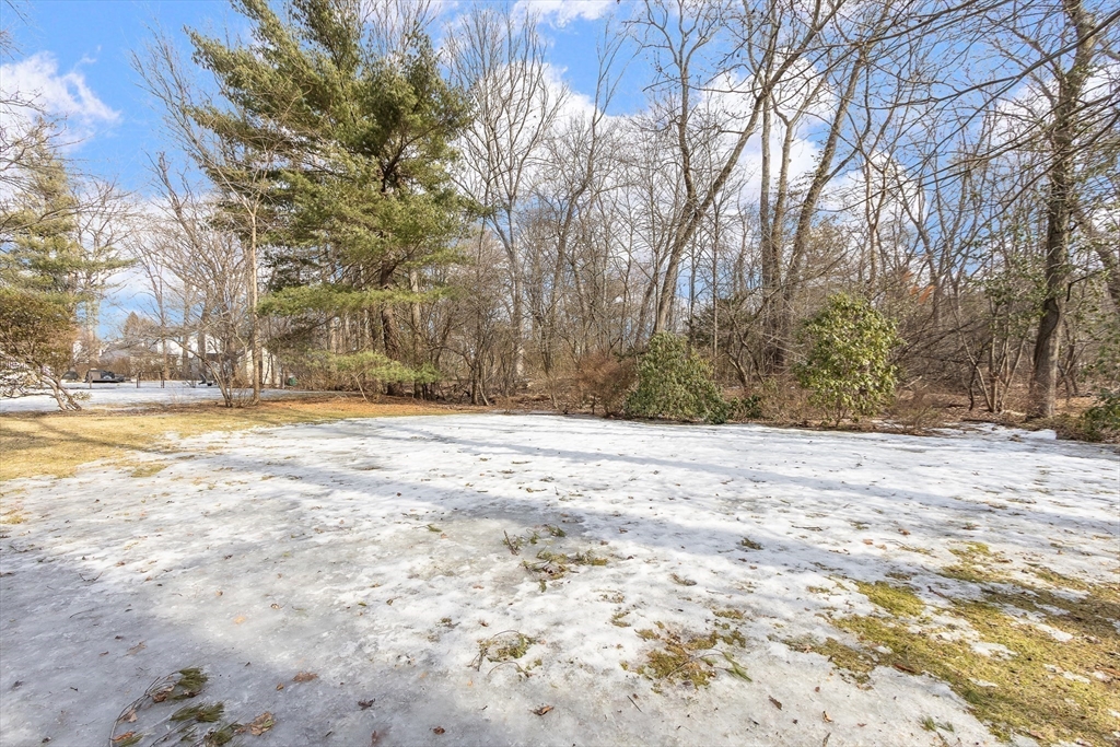 24 Barnesdale Road Natick, MA 01760 - Photo 33 of 38 Gallery Image 33