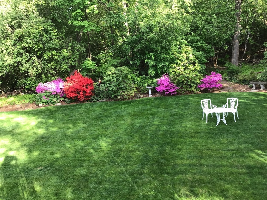 24 Barnesdale Road Natick, MA 01760 - Photo 34 of 38 Gallery Image 34