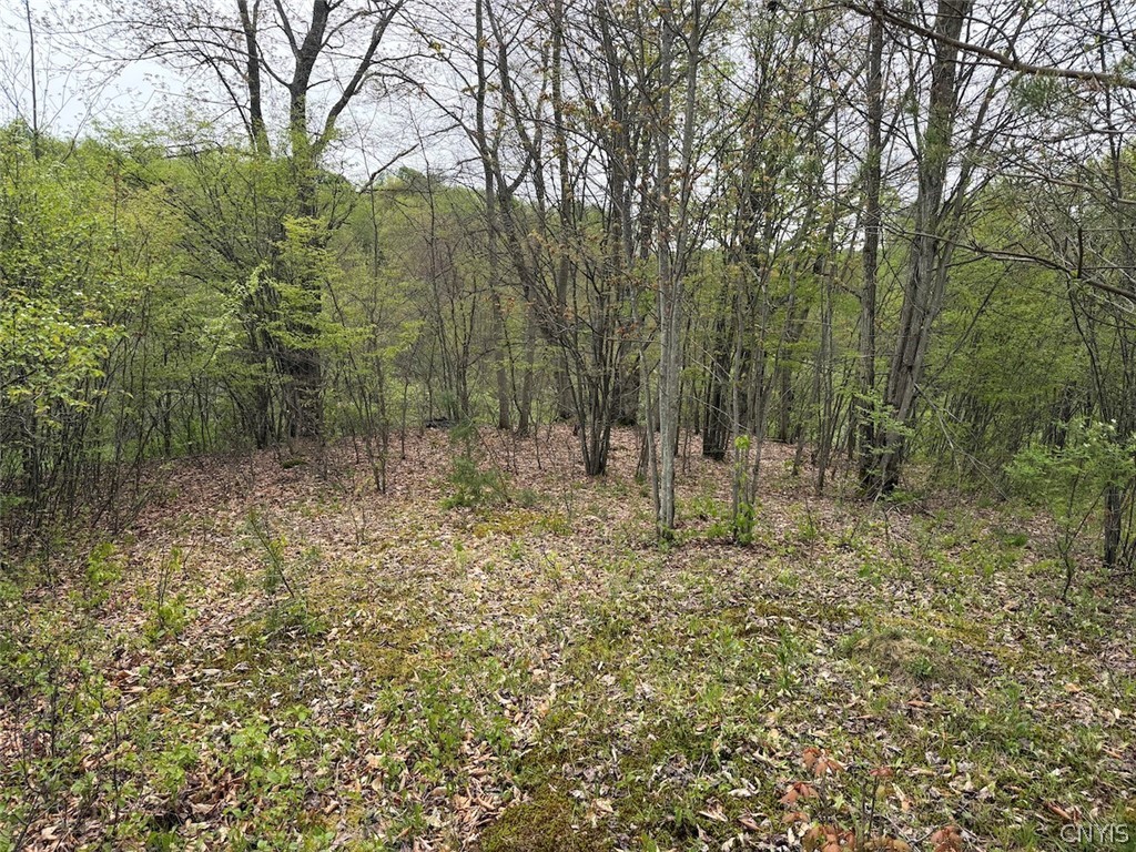 Reynolds Road Franklinville, NY 14737 - Photo 9 of 38