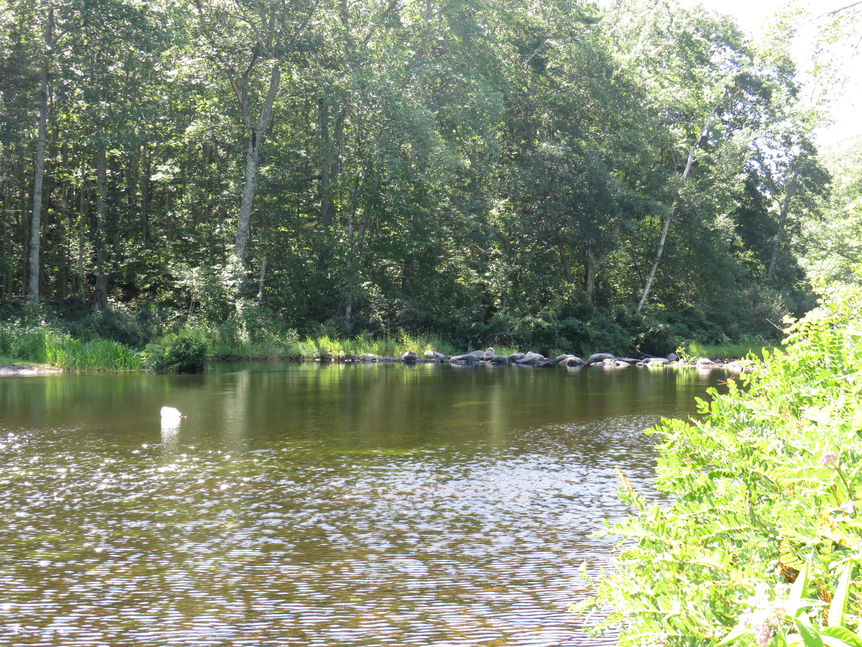 96 Appleton Road Union, ME 04862 - Photo 28 of 35 IMG_8285