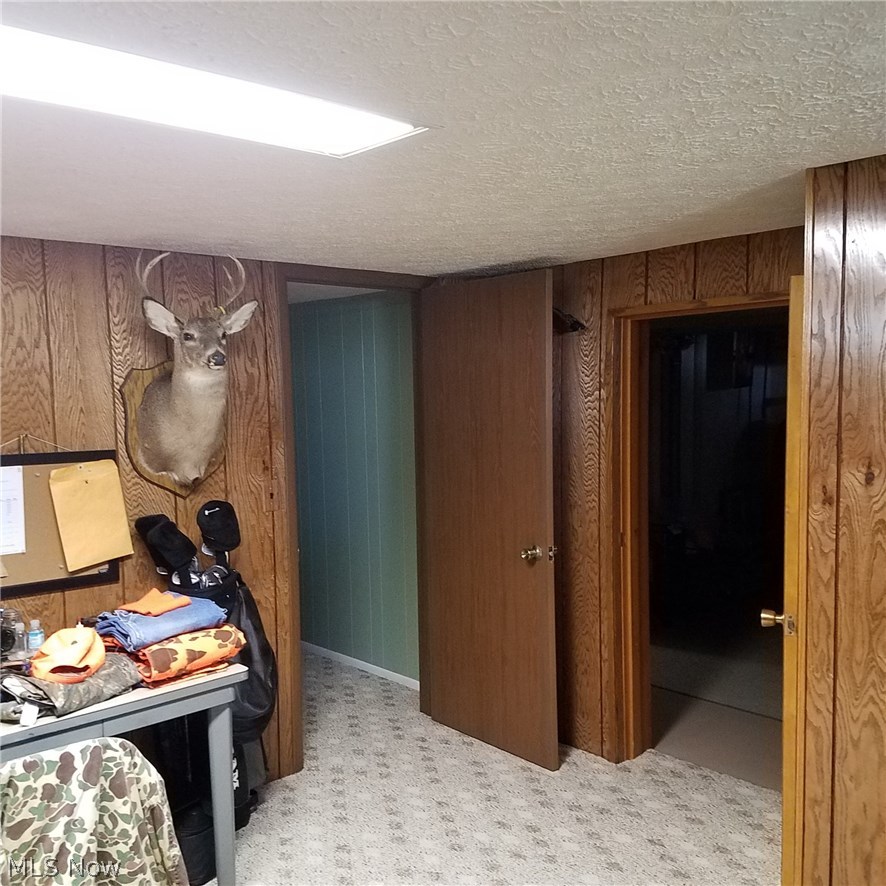 8826 Angling Road Wooster, OH 44691 - Photo 15 of 30 4th Bedroom, Basement