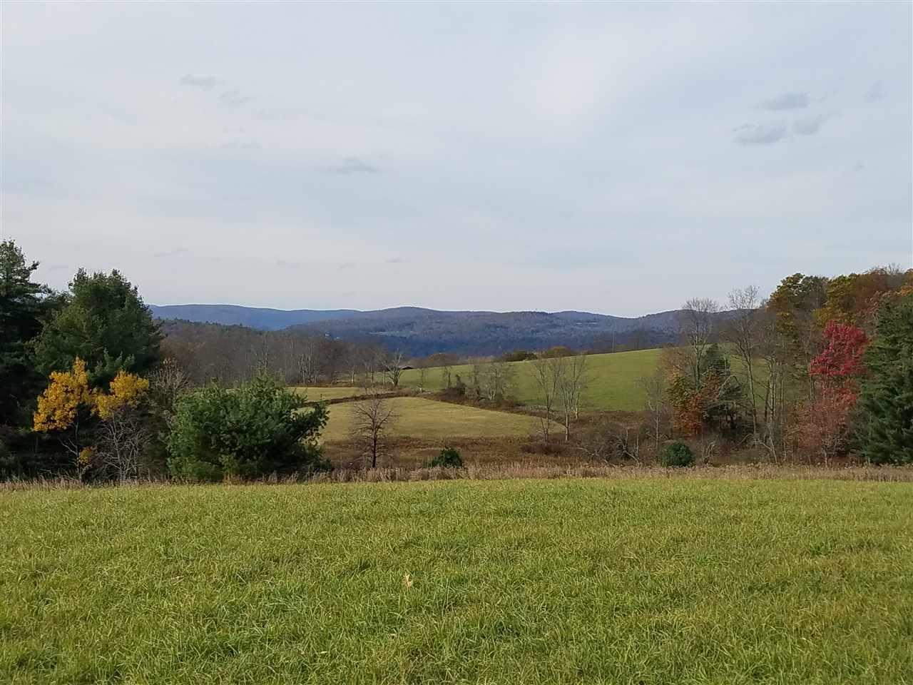12.3 Cross Road Callicoon, NY 12723 - Photo 1 of 1 Gallery Image 1