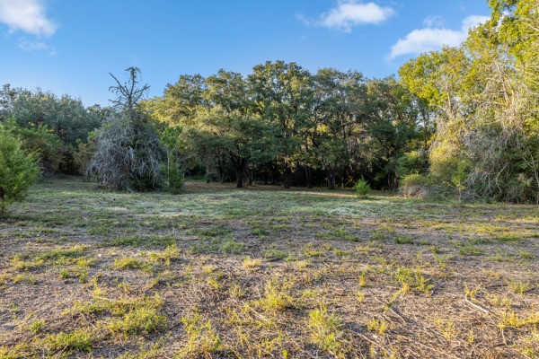 Tbd Tbd Wendy Lane Round Top, TX 78954 - Photo 4 of 8