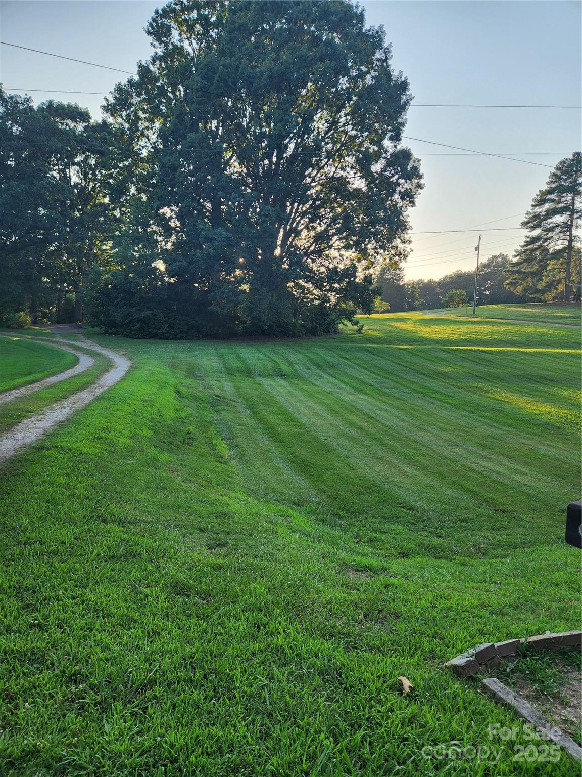 423 Tot Dellinger Road Cherryville, NC 28021 - Photo 14 of 14 a view of a field of grass and trees
