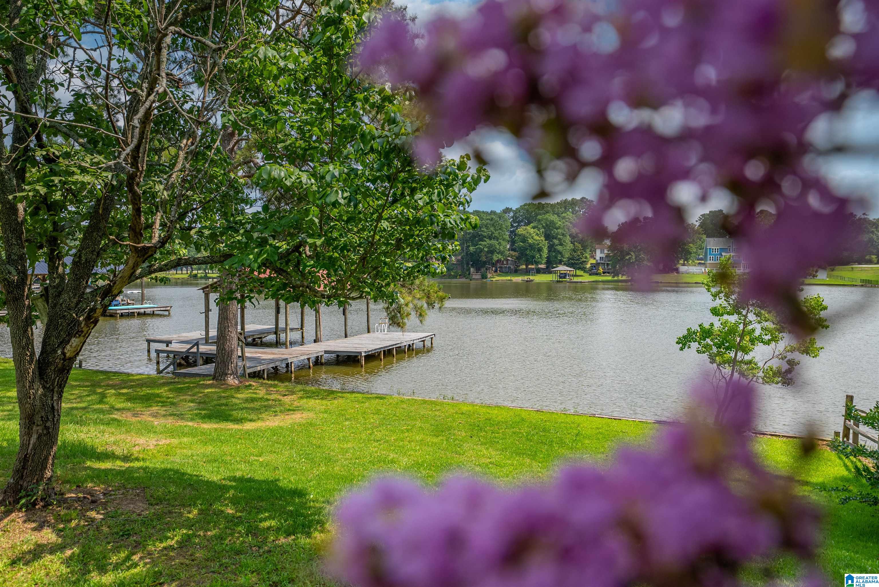 4906 Masters Road Pell City, AL 35128 - Photo 57 of 59 Gallery Image 57