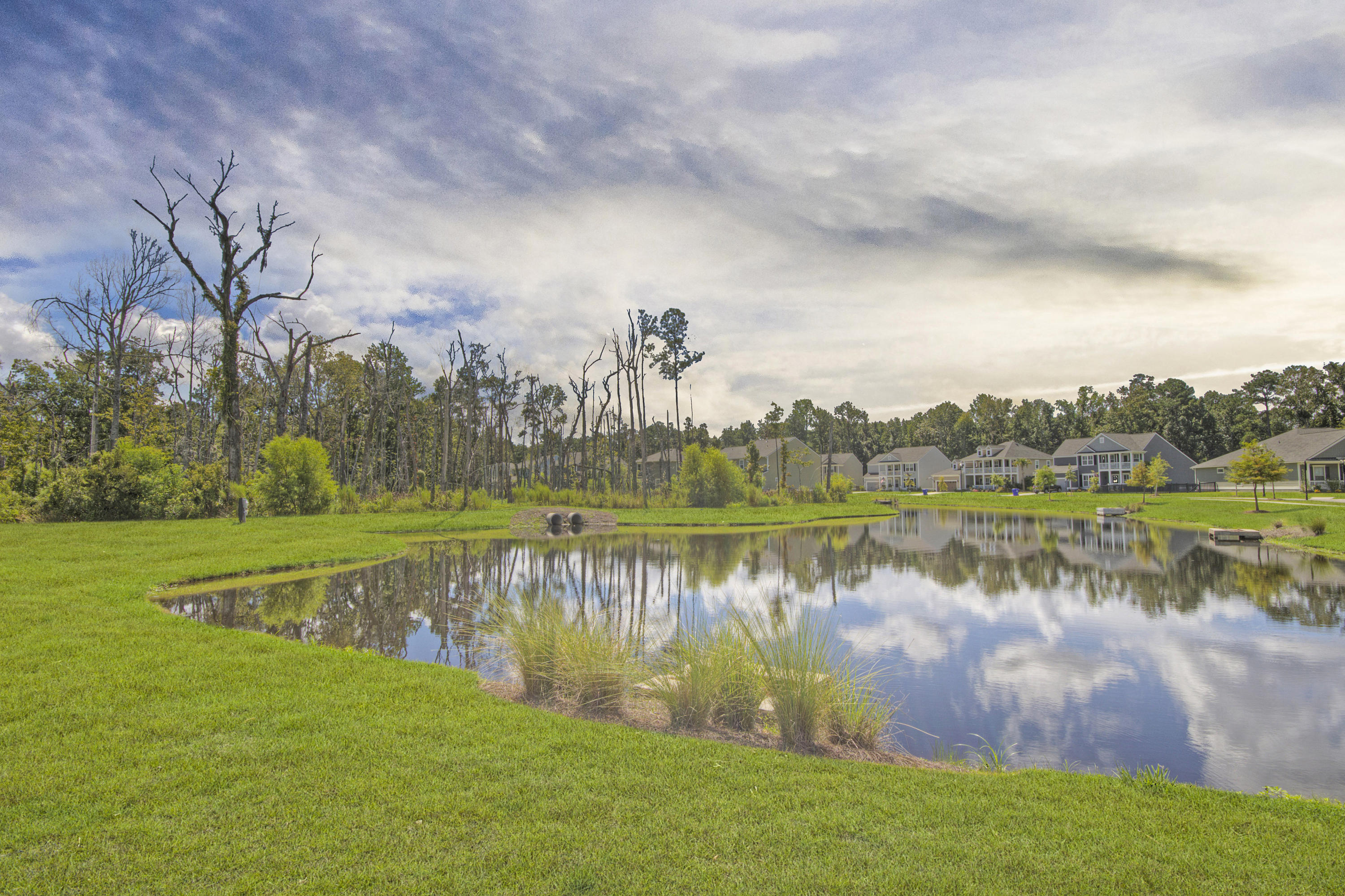 2808 Rutherford Way Charleston, SC 29414 - Photo 2 of 29 Front pond