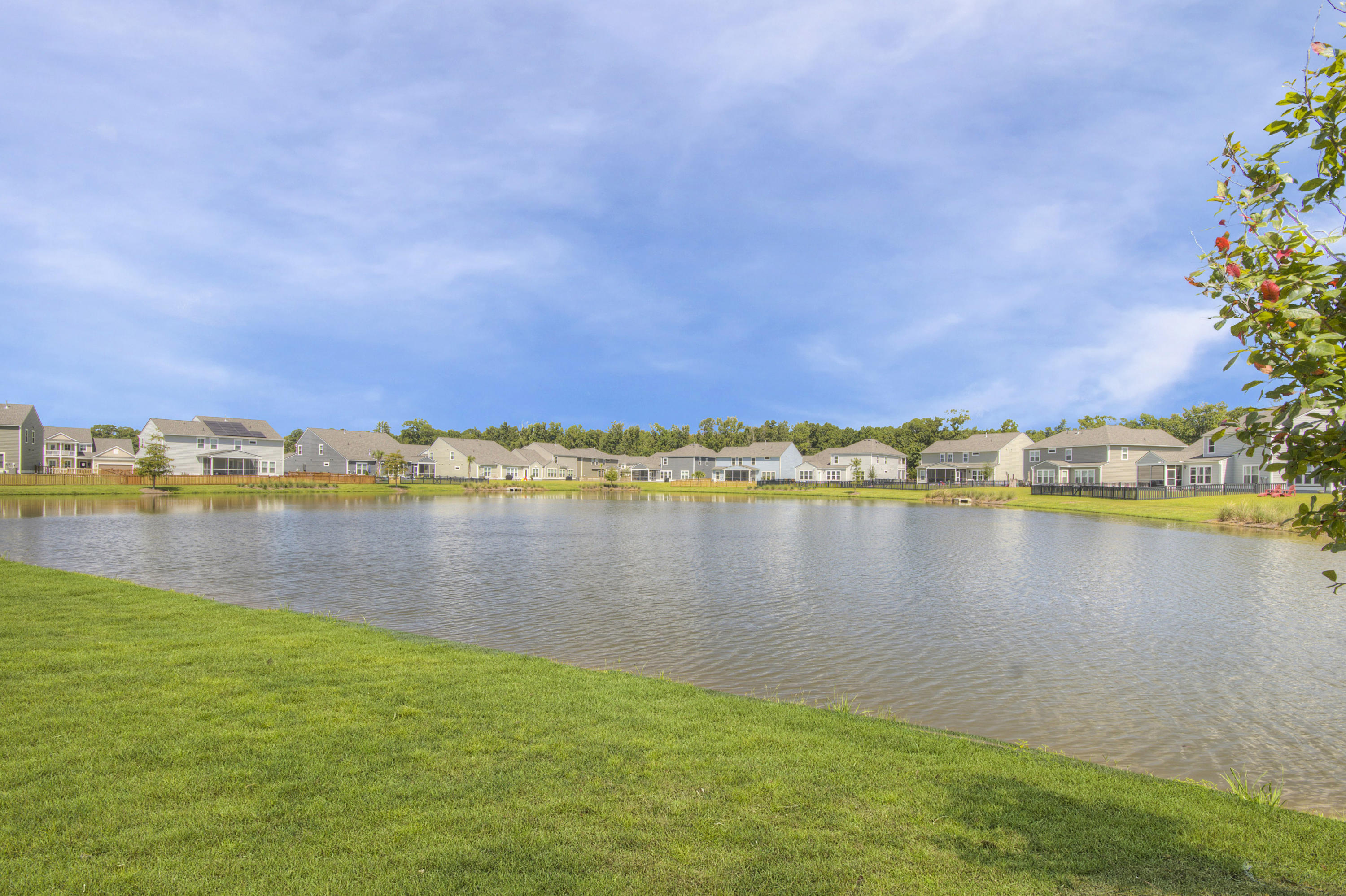 2808 Rutherford Way Charleston, SC 29414 - Photo 4 of 29 Back pond