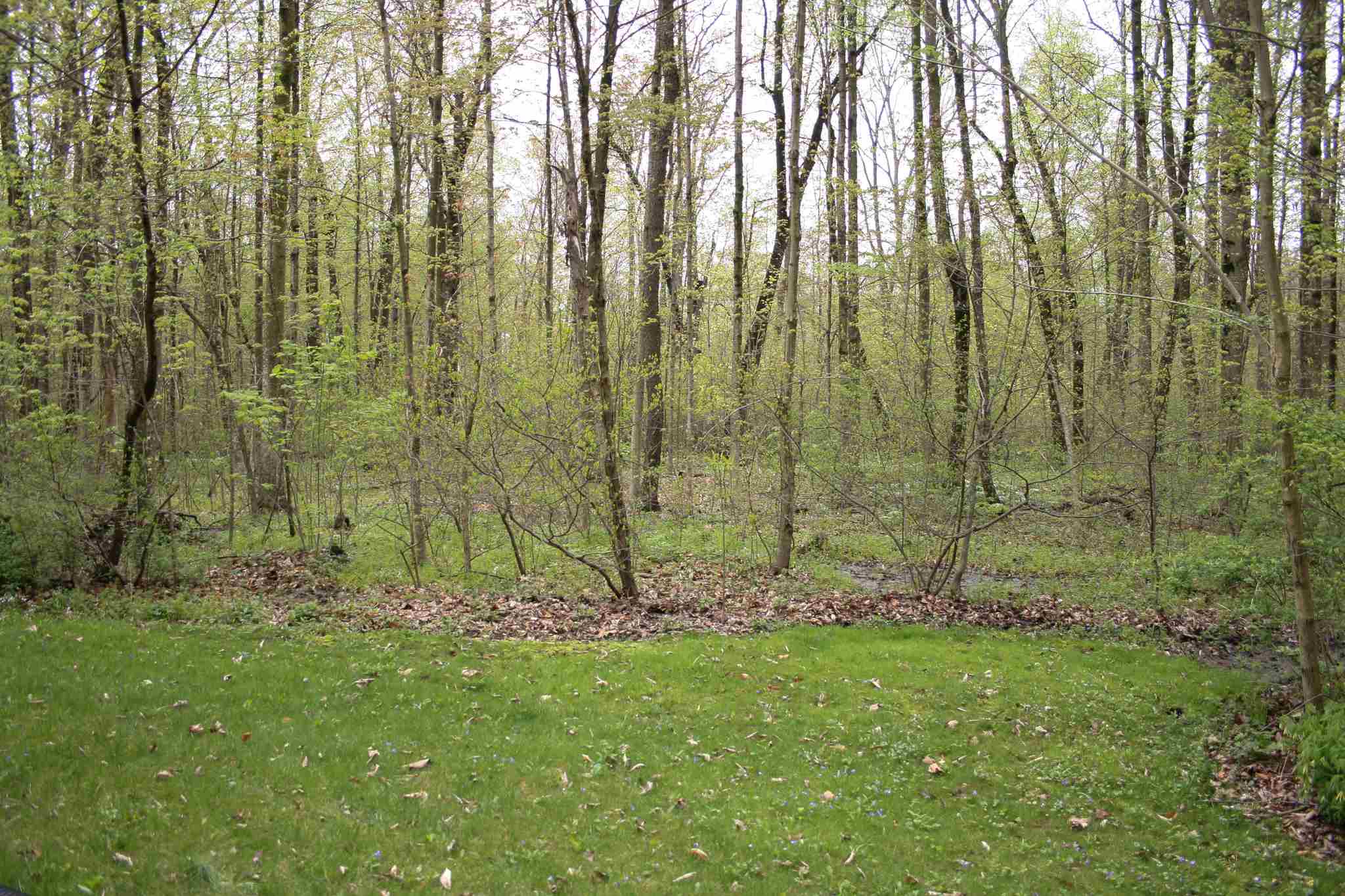 9229 Kress Road Fort Wayne, IN 46809 - Photo 34 of 36