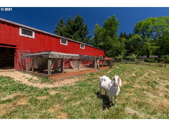 232 Strunk Road Washougal, WA 98671 - Photo 31 of 32 Gallery Image 31