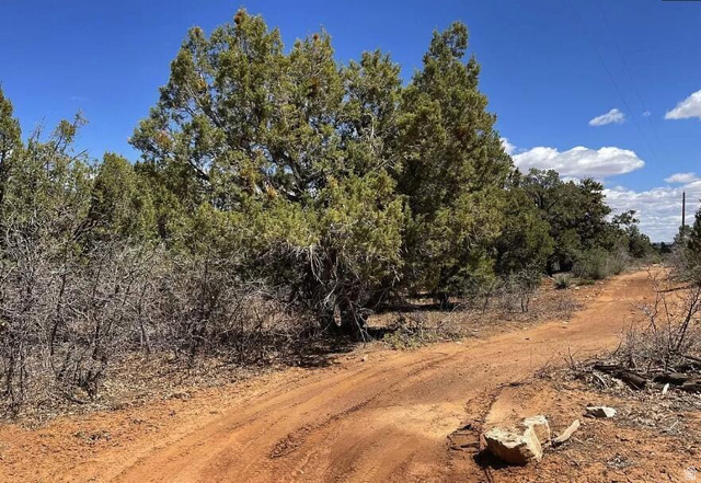 793 South Zion Road Orderville, UT 84758 - Photo 7 of 12 Dirt road with natural landscaping and mature trees