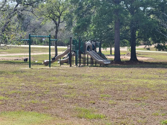 a view of a park with large trees