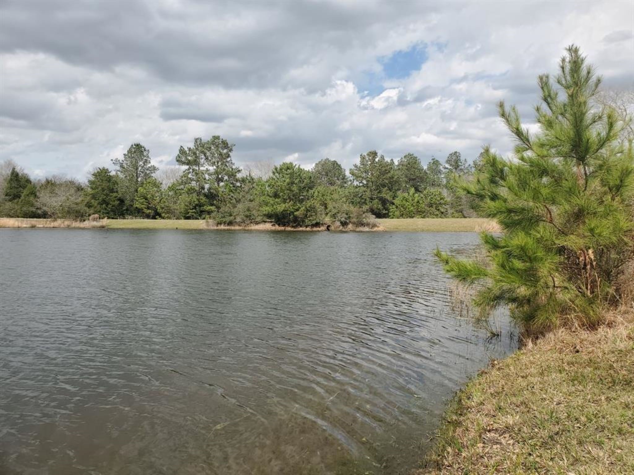 29044 Red Fox Drive Hempstead, TX 77445 - Photo 2 of 27 a view of a lake view