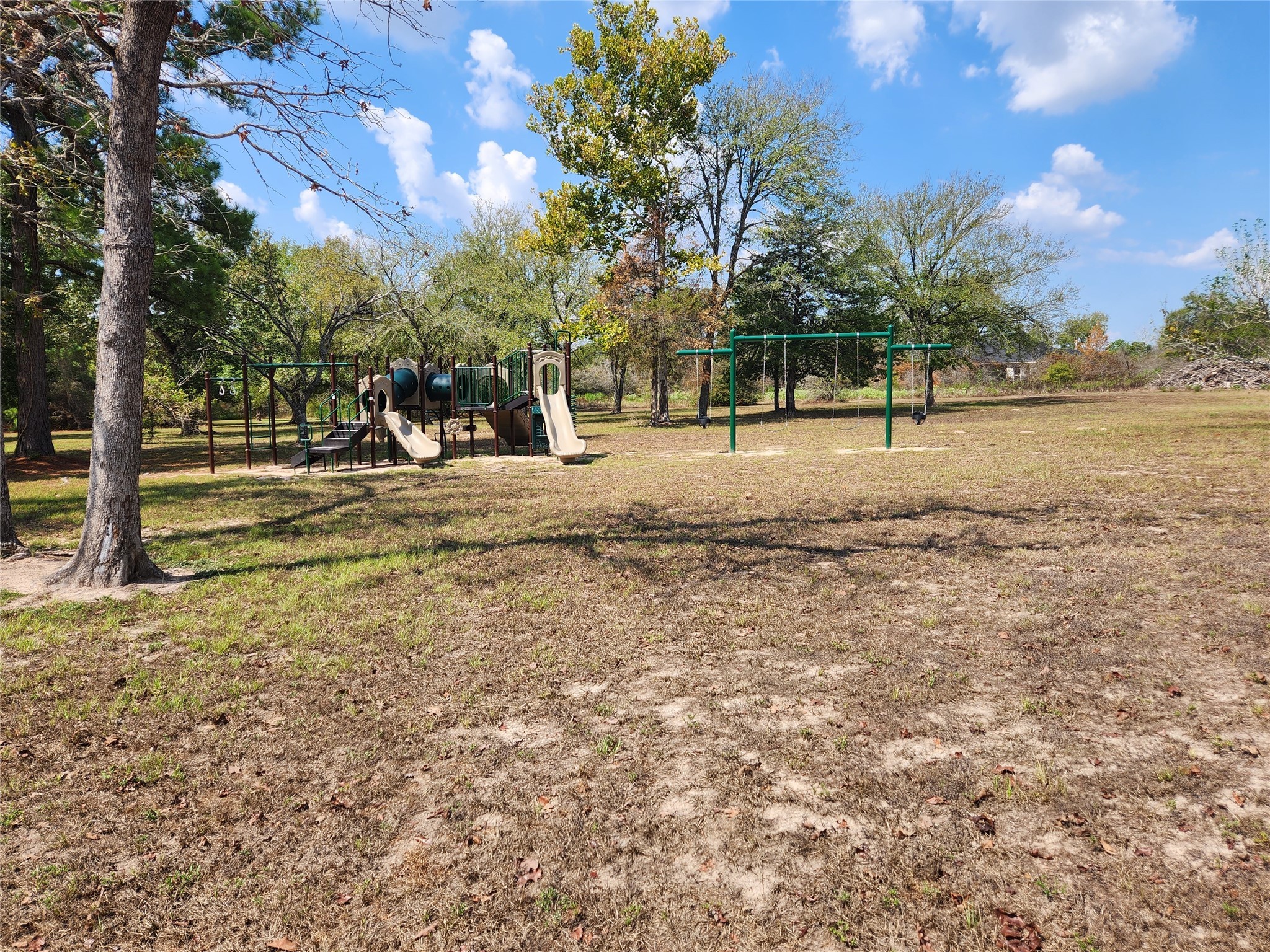 29044 Red Fox Drive Hempstead, TX 77445 - Photo 22 of 27 a view of a yard with a tree