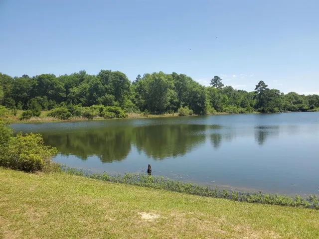 a view of a lake with houses in the background