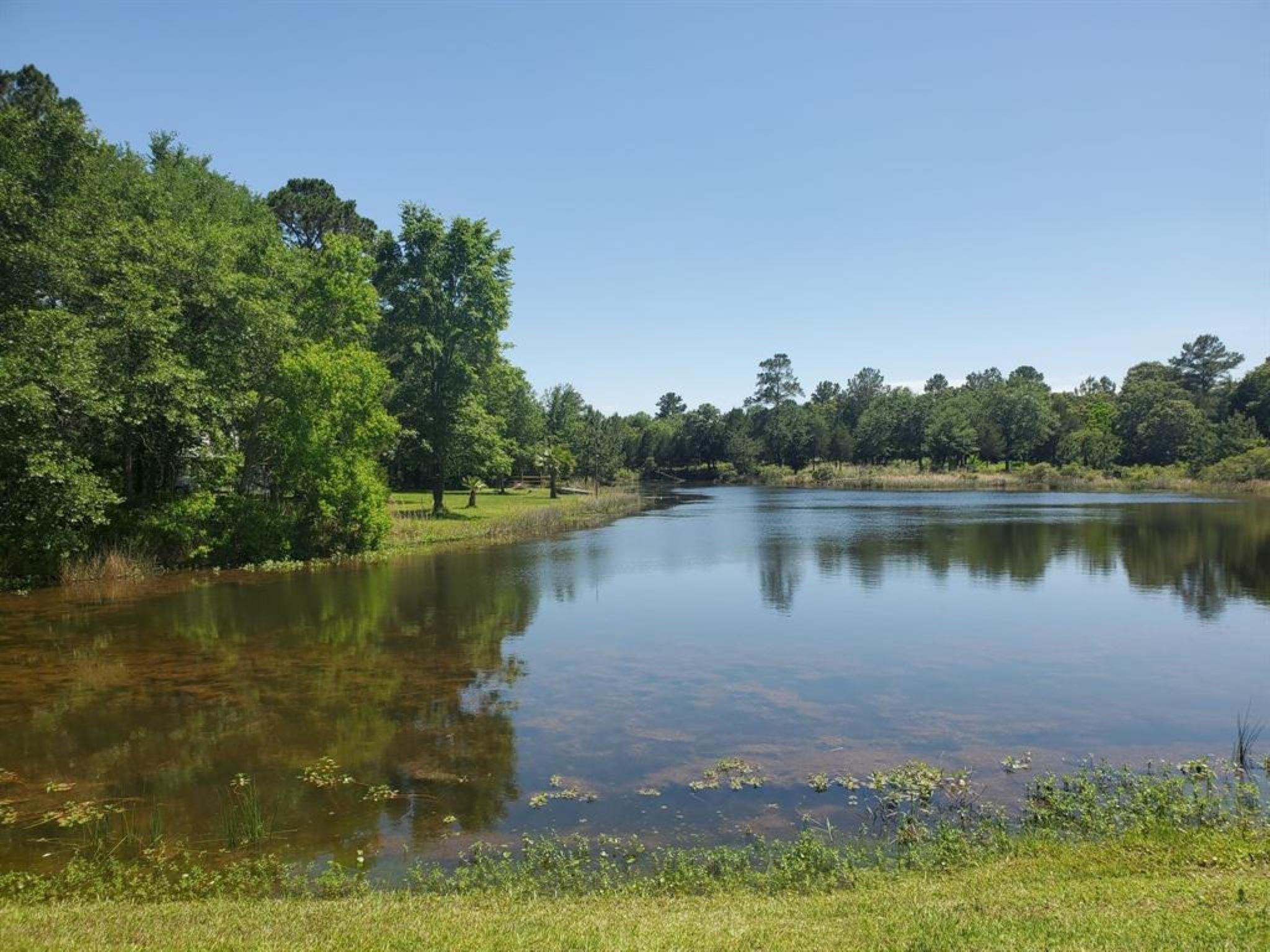 29044 Red Fox Drive Hempstead, TX 77445 - Photo 4 of 27 a view of a lake with a city view