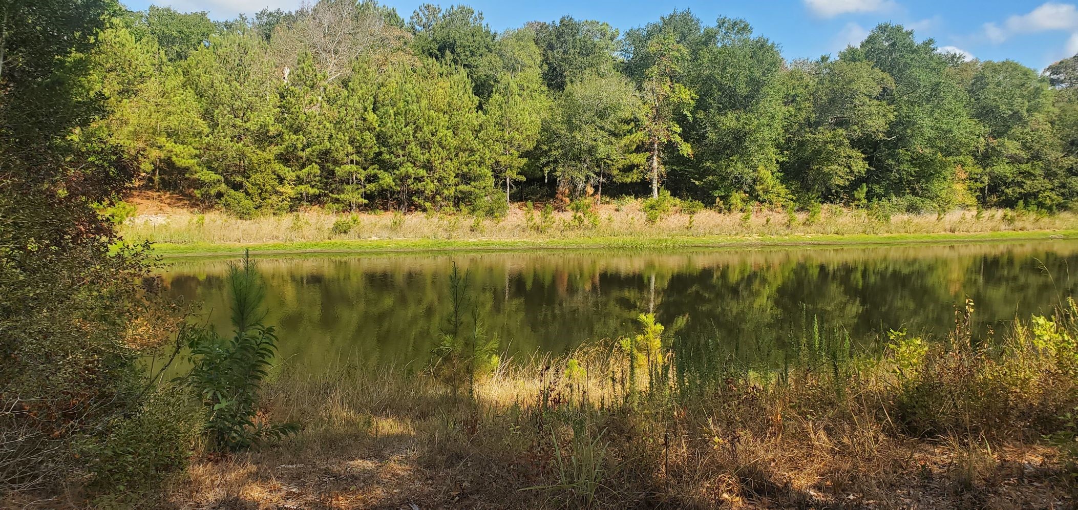 29044 Red Fox Drive Hempstead, TX 77445 - Photo 5 of 27 a view of lake