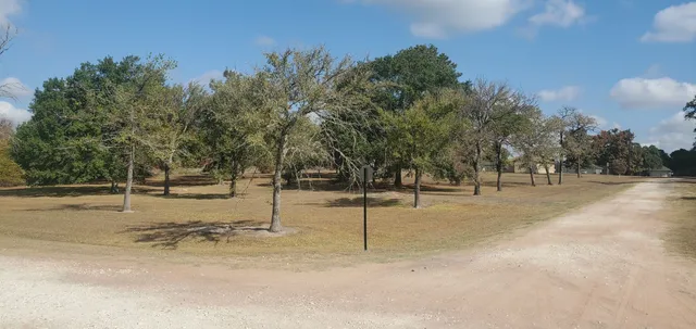 a view of empty space with trees