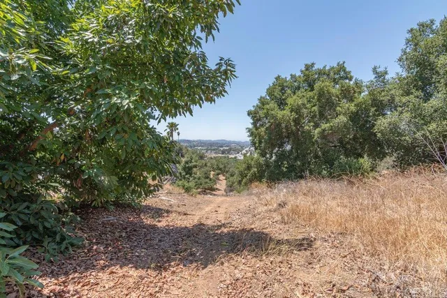 a backyard of a house with lots of green space and mountain view in back