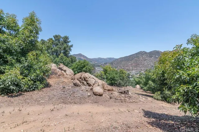a view of a yard with plants and a large tree