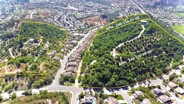 a view of a tree in a yard