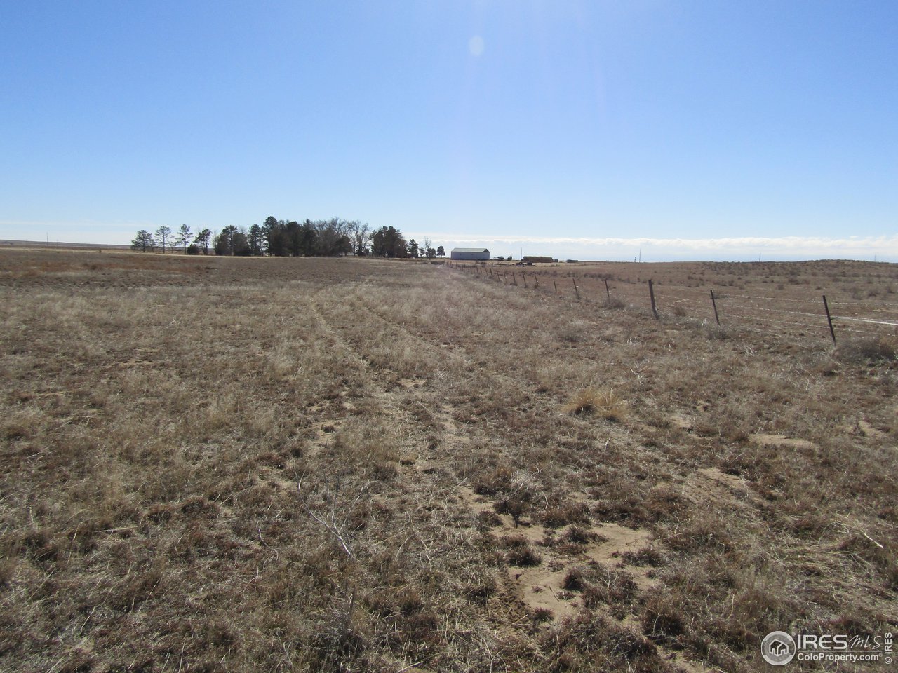 0 County Road L Road Fort Morgan, CO 80701 - Photo 4 of 10 a view of a field and trees in front of it