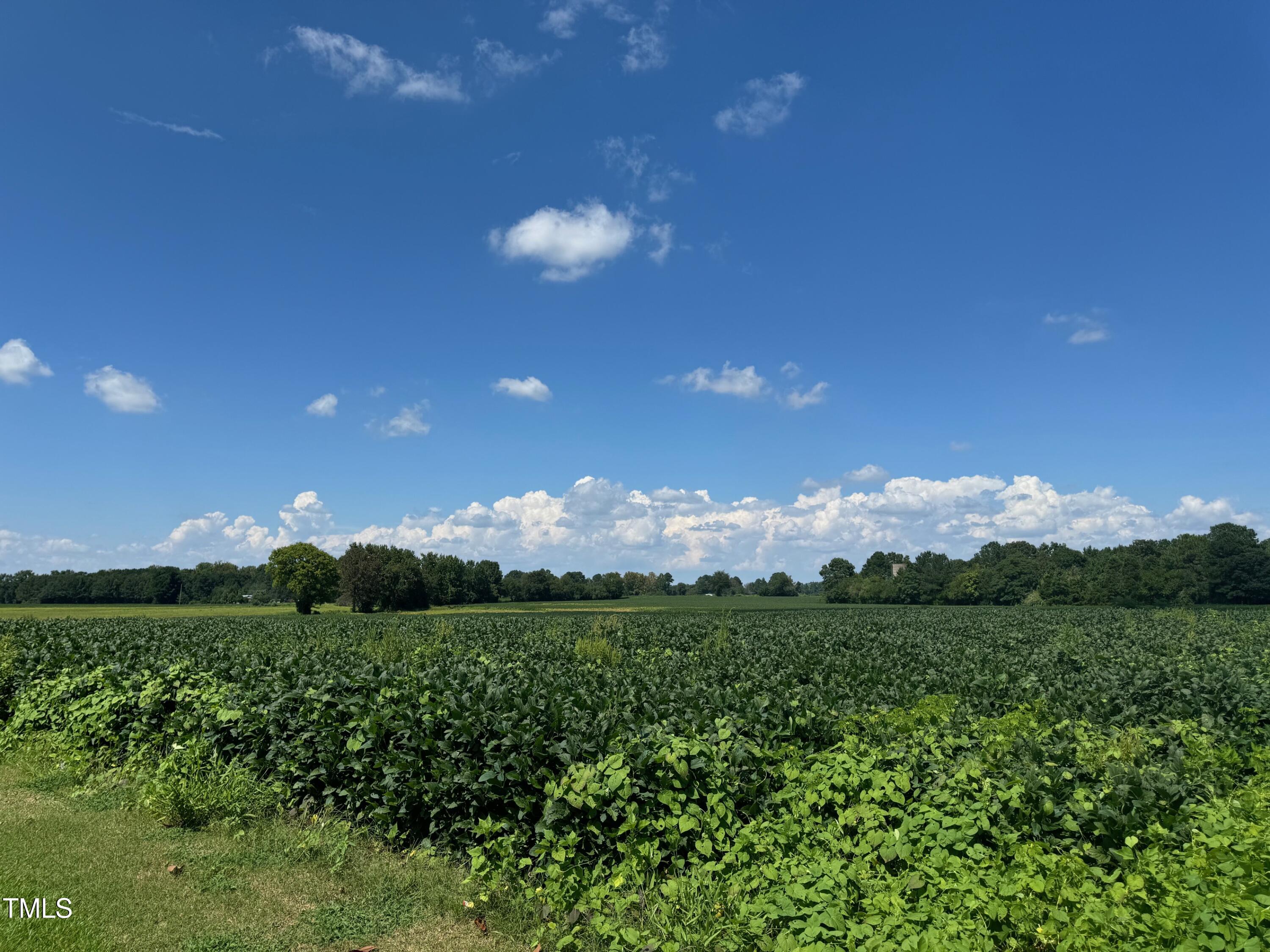 1 Green Path Road Dunn, NC 28334 - Photo 2 of 4 IMG_0514