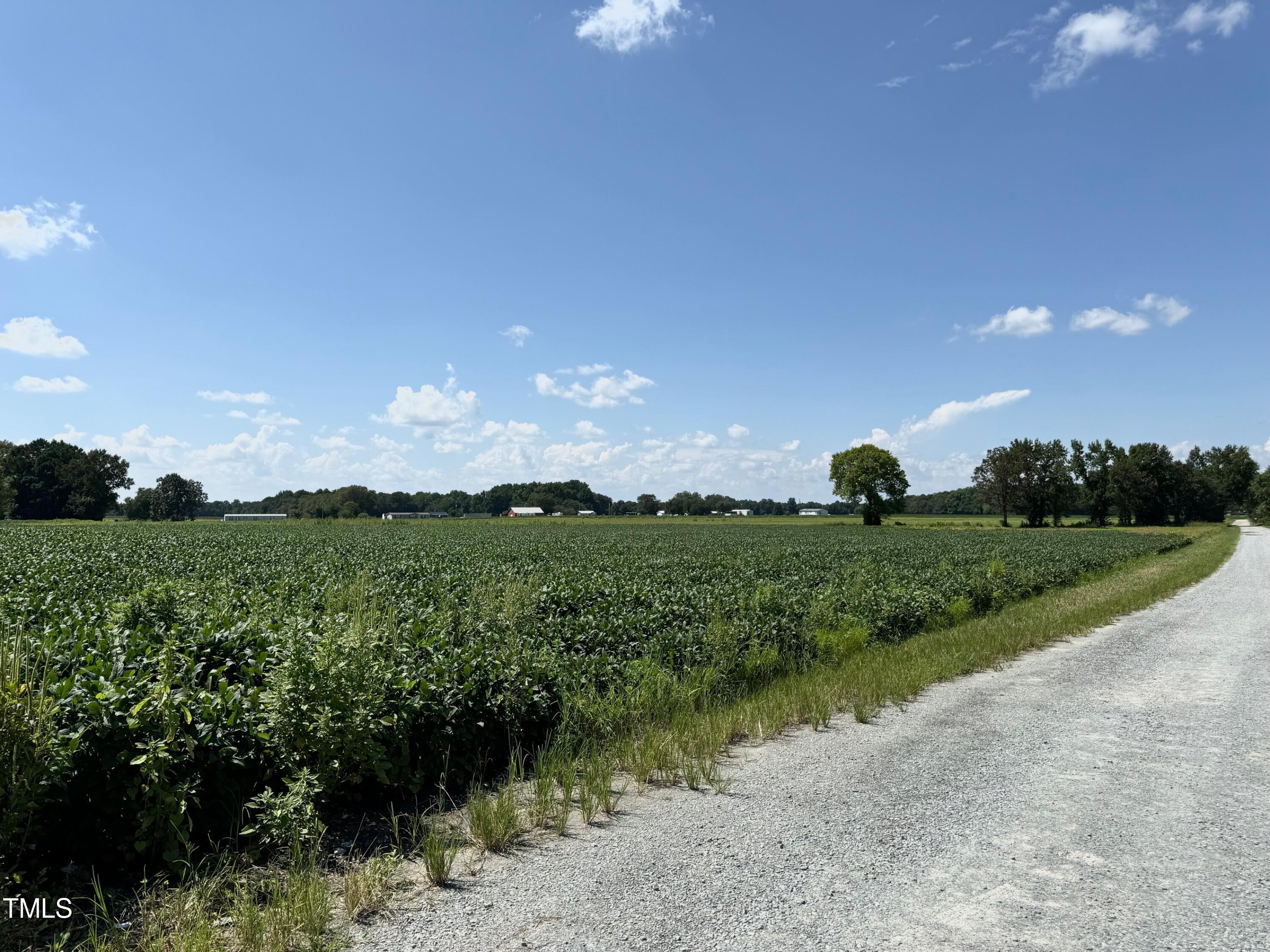 1 Green Path Road Dunn, NC 28334 - Photo 3 of 4 IMG_0507