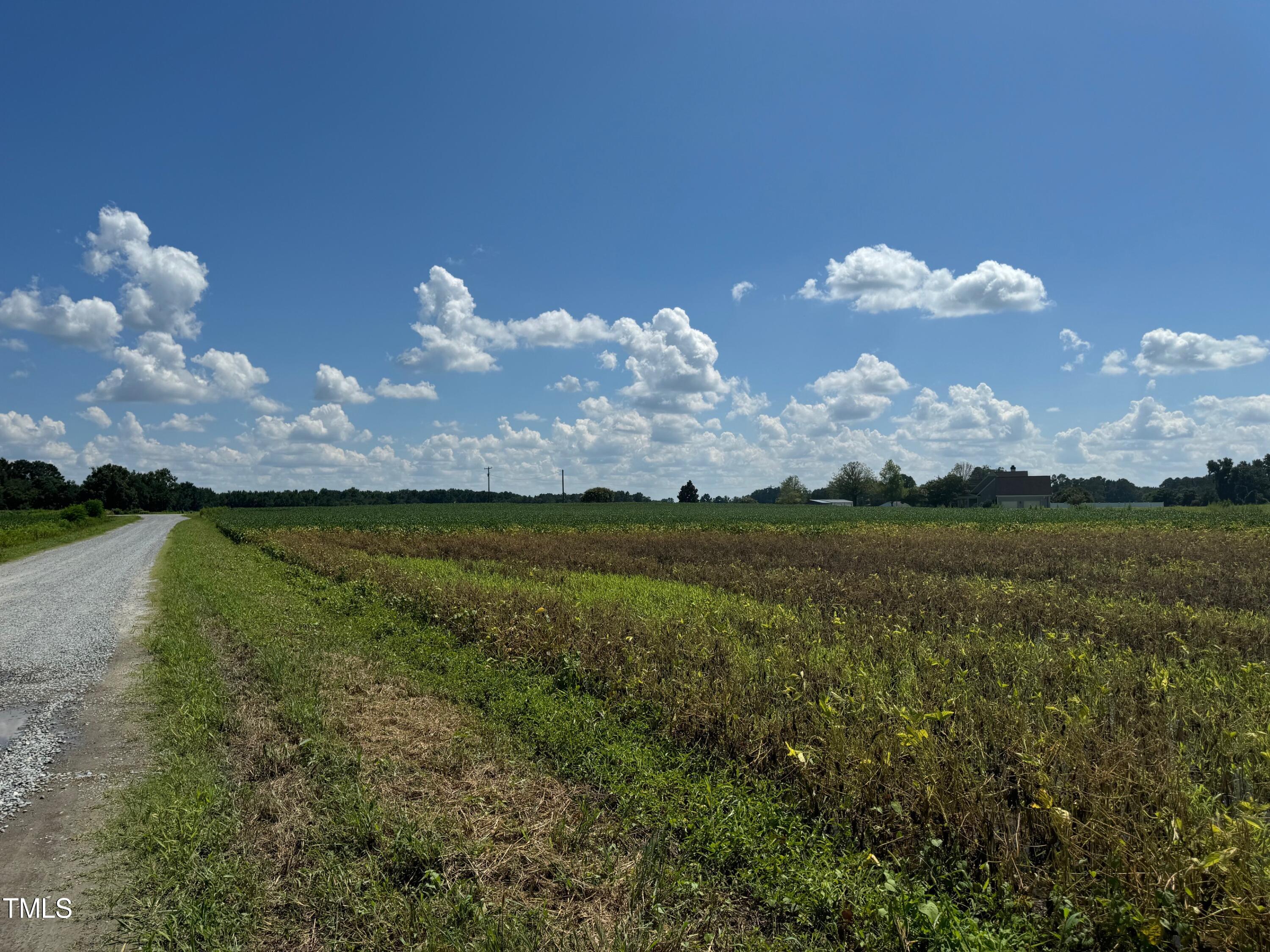 1 Green Path Road Dunn, NC 28334 - Photo 4 of 4 IMG_0512