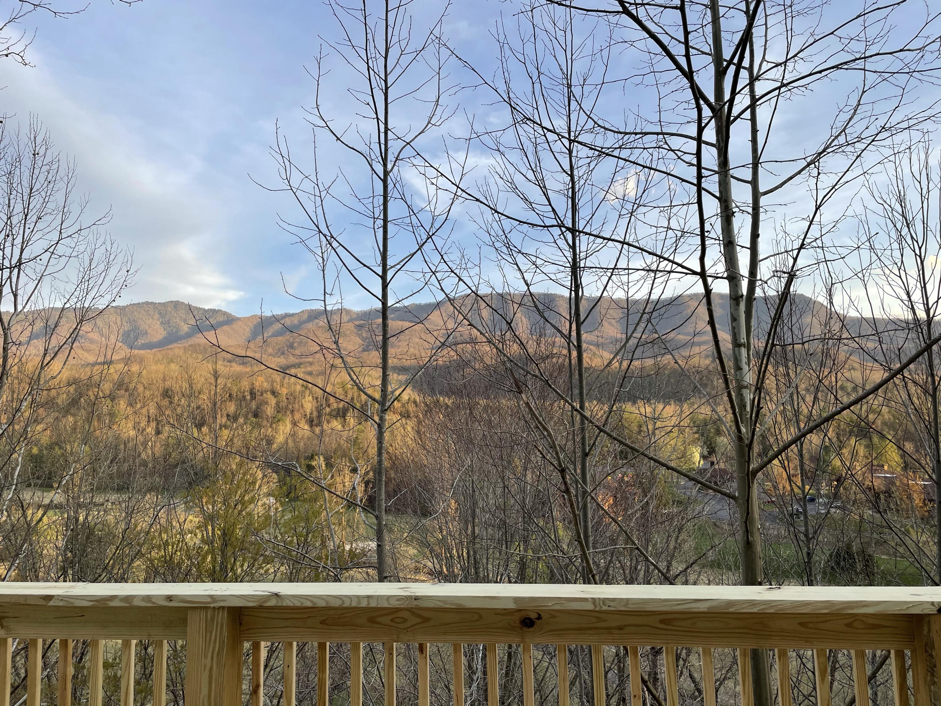 3936 Castle Road Gatlinburg, TN 37738 - Photo 34 of 39 29