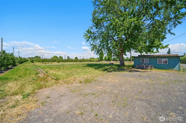 a view of a house with a yard and a large tree