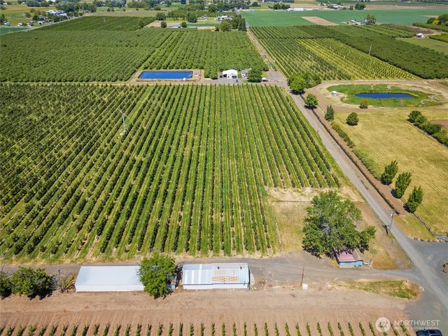 a view of a swimming pool with a yard