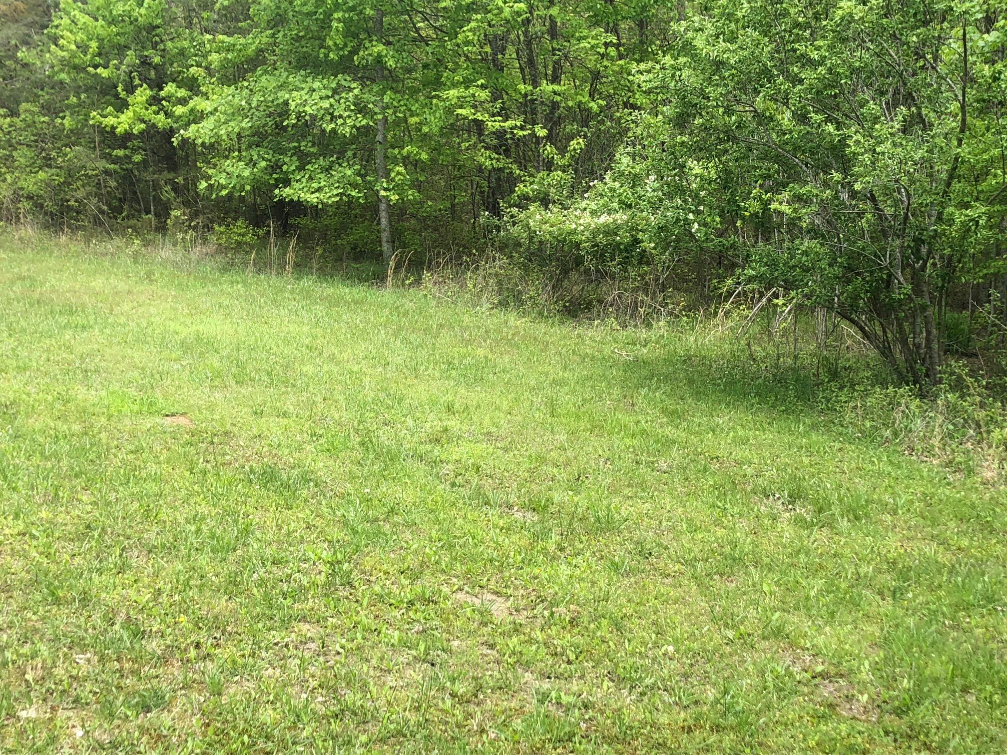 12 Azalea Ridge Road, Unit 35 Tracy City, TN 37387 - Photo 14 of 30 IMG_4098