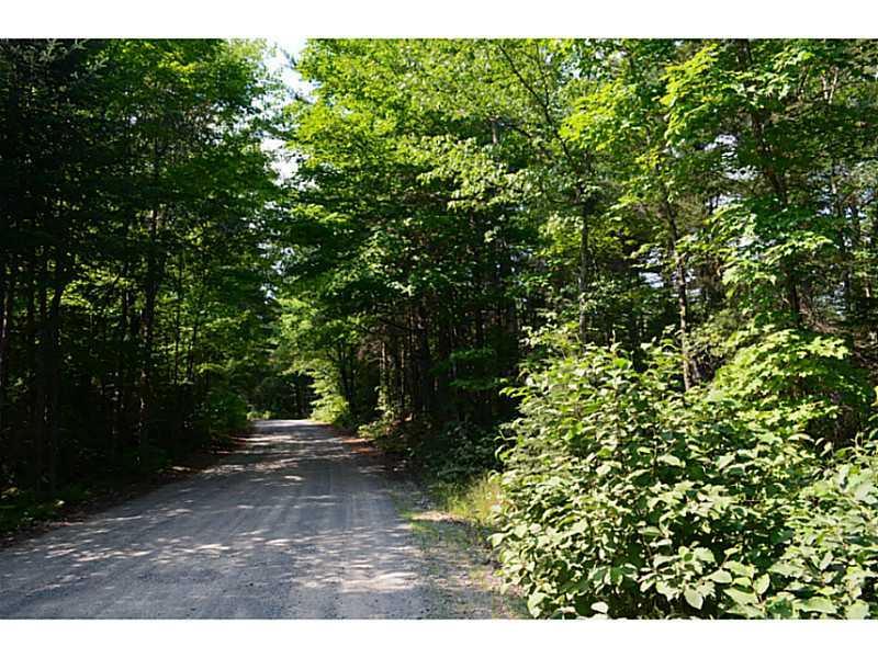 T32 Myra Road Greenbush, ME 04418 - Photo 12 of 12 Land/Lot. Road Frontage