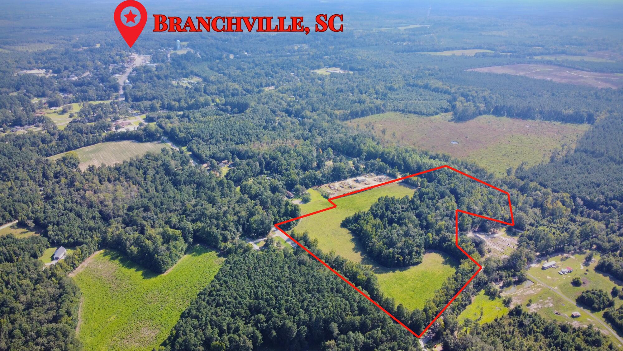 0 Freedom Road Branchville, SC 29432 - Photo 1 of 9