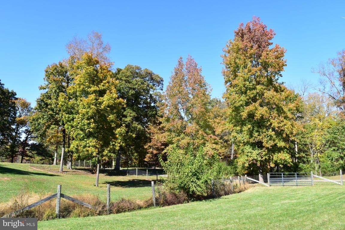 4025 Log Cabin Road Catlett, VA 20119 - Photo 11 of 58 Gallery Image 11