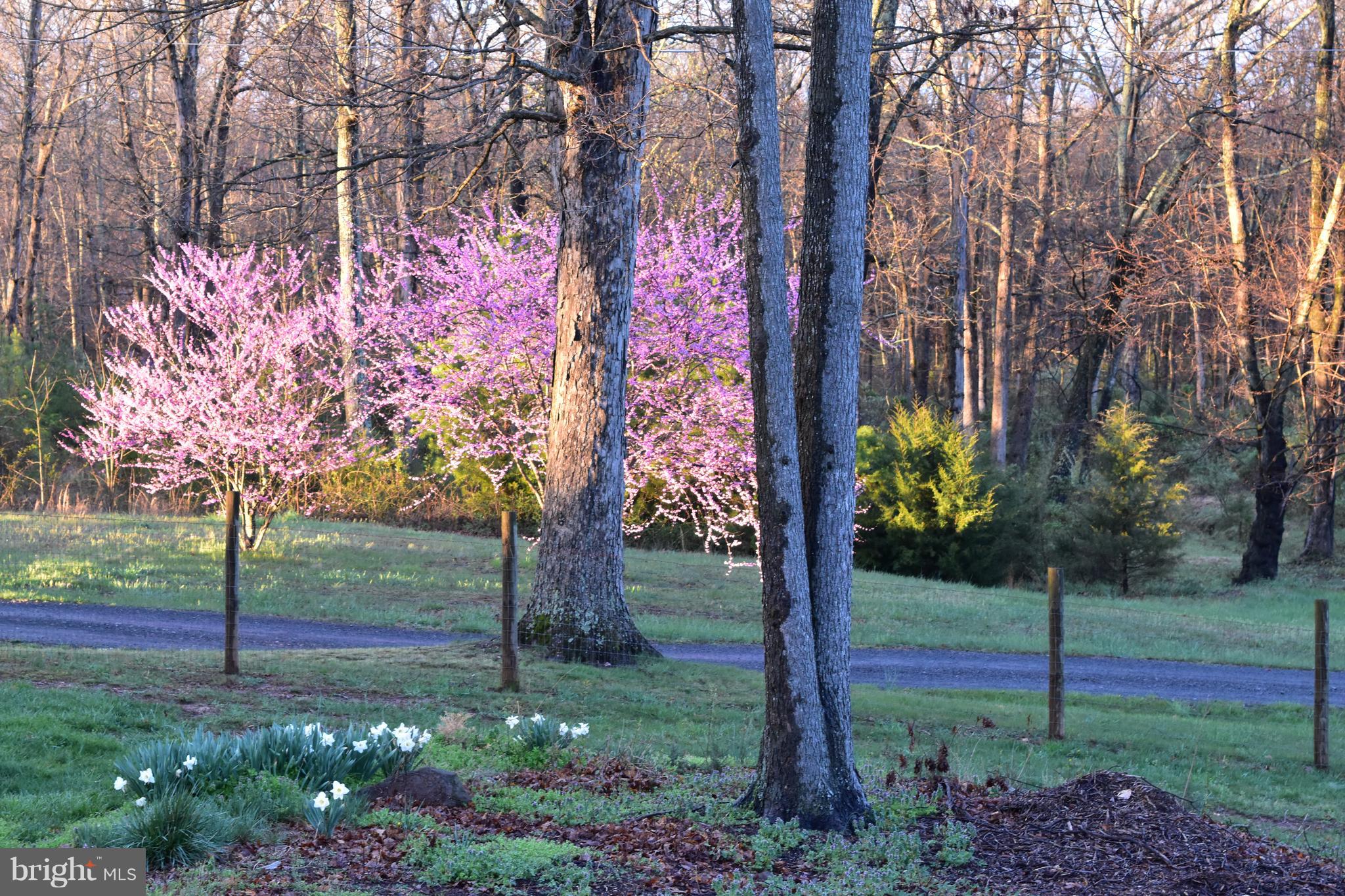 4025 Log Cabin Road Catlett, VA 20119 - Photo 4 of 58 Gallery Image 4